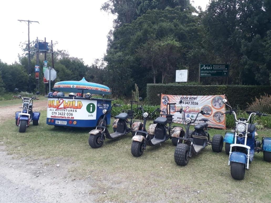 Stormsriver Backpackers Dijembe Stormsrivier Luaran gambar